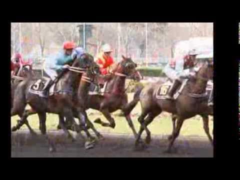 Sylvie de Betan Prix de Cornulier 2014