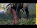 The Call Of The Land Meet The Next Generation Of Farmers Short Film Showcase
