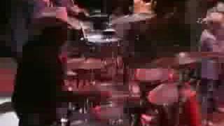 La Palma De Coco (En Vivo) Lyrics English Translation