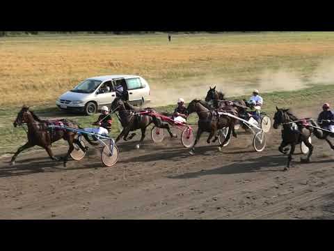 Trka "Vujica d.o.o." 12.07.2019 Golden - Zoran Živojinović