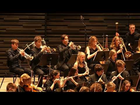 Tschaikowsky: Sinfonie Nr. 5 e-Moll (4. Satz: Finale) // Sinfonieorchester, Pestalozzi-Gymnasium