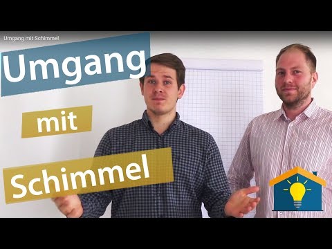 Umgang mit Schimmel