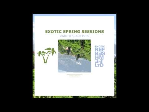 Alistair Gillespie - Wandering Bear (Trav & Volta's Park Ranger Remix) // Exotic Refreshment LTD