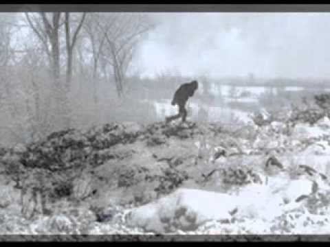 Jake Thackray Rain On The Mountainside