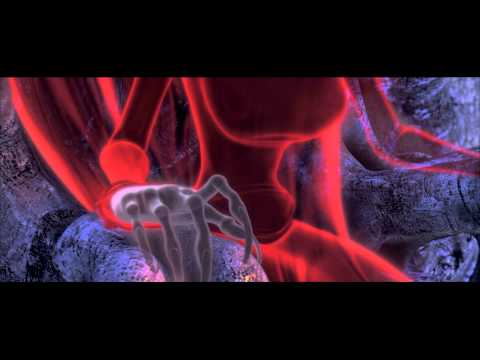 Winx Club: Волшебное приключение - Trailer