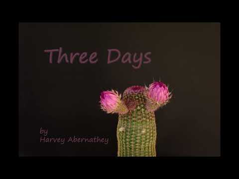 Three Days