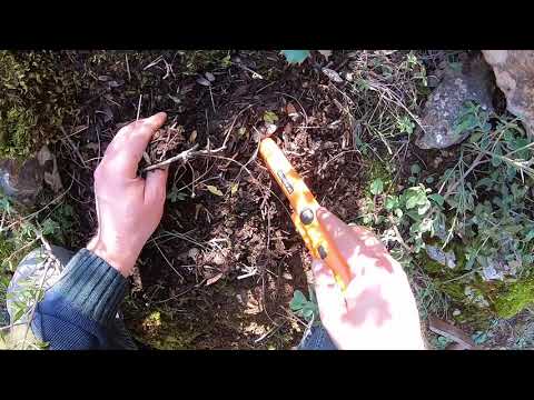 Kaynın İçine Saklanan Definenin Peşindeyim !!!