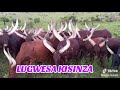 LUGWESA KISINZA MAIYIKO 2026