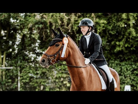 Dressurreiter L RL2 Fußgönheim 2024 Sieg