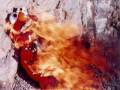 EVIL ELMO Cautionvery Funny