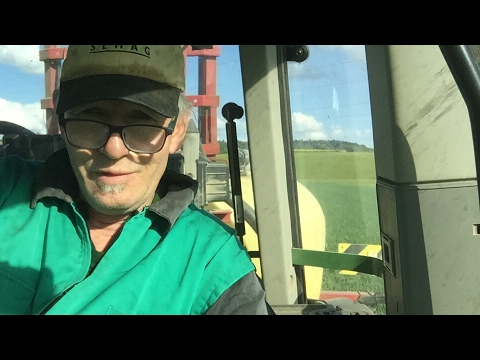 🎥 Braugerste Unkrautbekämpfung