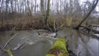 Река нельма рыбалка калининградская область