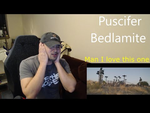 Puscifer - Bedlamite (Live) (Reaction/Request - I LOVE THIS SONG)