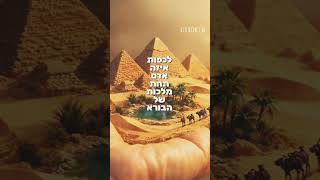 הרב שלום סבג – הסתכלות מהמקום הנכון ✨