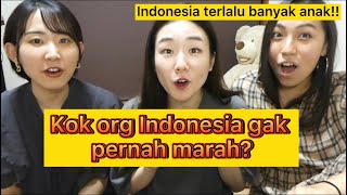 Download lagu Differences between Indonesia and Japan as seen by Japanese people!!(Japanese sub) mp3
