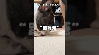 距離感が絶妙なフレブル