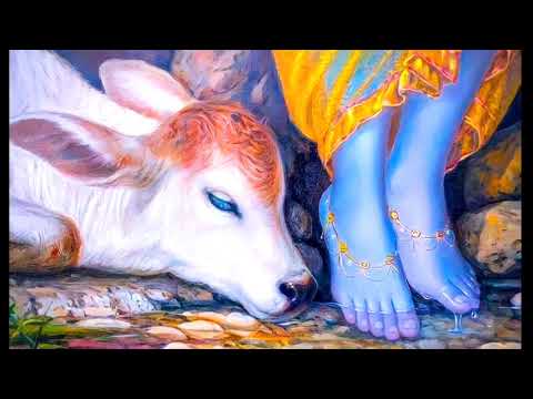 "Devotional Serenade in Raag Dhani: Uday Ravi Chandrika, An Ode to Lord Krishna's Lotus Feet" — वीडियो थंबनेल