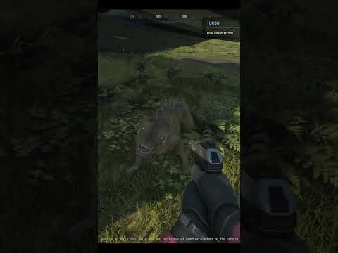 Hunting the Elusive Kopion creature in Star Citizen