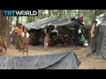 Myanmar Violence Aid Agencies Call For Urgent Help For Rohingya
