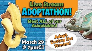 Adoptothon!! 3/29/26