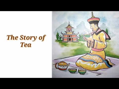 The Story of Tea ☕