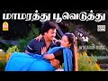 Maamarathu Pooveduthu HD Video Song மாமரத்து பூவெடுத்து Oomai Vi