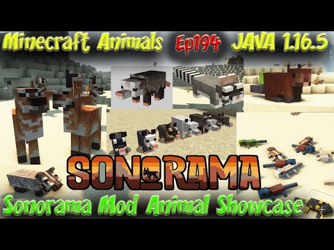 Sonorama Mod Animal Showcase Desert Animals JAVA 1.16.5 Minecraft Animals Ep194