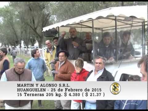 Martin y Alonso S.R.L. - Venta Hembras - Huanguelen - 25/02/2015