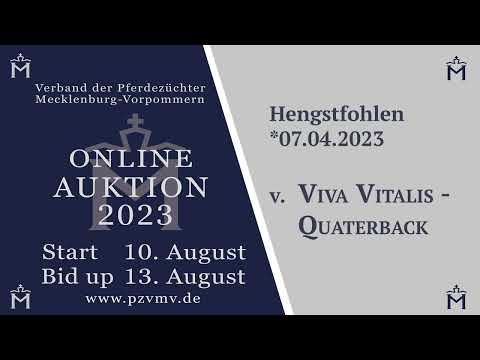 Nr. 3 v. Viva Vitalis/Quaterback