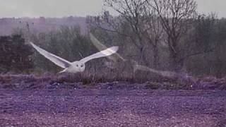 Karnataka - Moment in Time