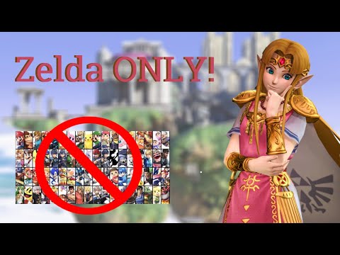What happens in a ZELDA ONLY Tournament?!
