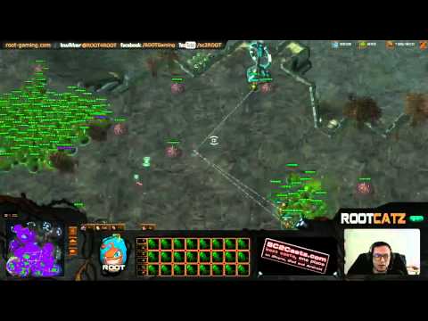 CatZ just wants to see it - Starcraft 2