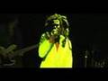 The Lions - EthioSteppers Live @ The Troubadour