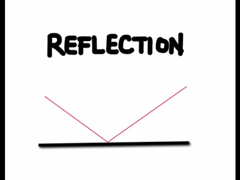 The Law of Reflection and Plane Mirrors