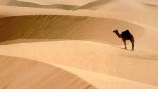 Amr Diab - Moush Hade Af