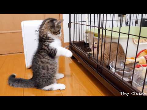 YouTube 썸네일