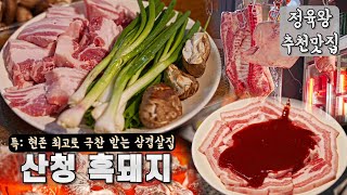 현시점 최고로 극찬 받는 삼겹살집 "산청숯불가든" 리뷰