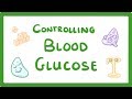 GCSE Biology - Control of Blood Glucose Concentration  #56
