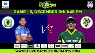 LIVE US OPEN CRICKET 2022 MATCH#5 Stallions X Vs Tampa Tigers  DAY2