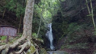 初心者がツーリング先でクマよけスプレー持って観光する。