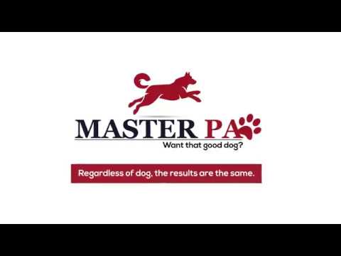 Regardless of dog Results are the same-MasterPaw! | Dog Training Course |™MasterPaw Official