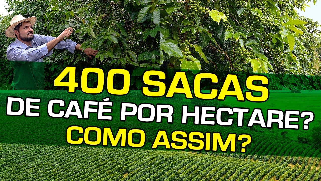 A Verdade Sobre a Lavoura de 400 Sacas por Hectare que Andou Rodando nos Grupos de WhatsApp