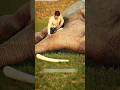 Bittu And Dead Elephant Parody Factz Viralshort Factz Viralparody 3danimation Story