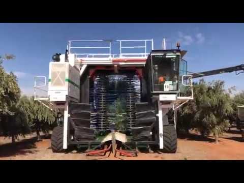 Boundary Bend Harvesting.