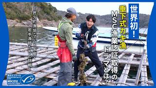 世界初！垂下式カキ漁 MSC漁業認証取得のドラマとは？