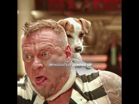 The Crazy Cute Puppy #foryou #movie #edit #fyp #film