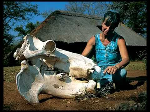 Save The Hippos (Project For Awesome)