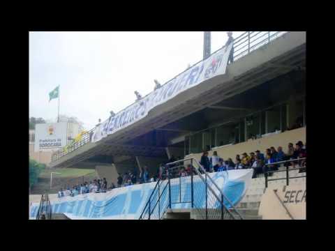 TORCIDA FORÇA AZUL SÓ COLOMBIANO
