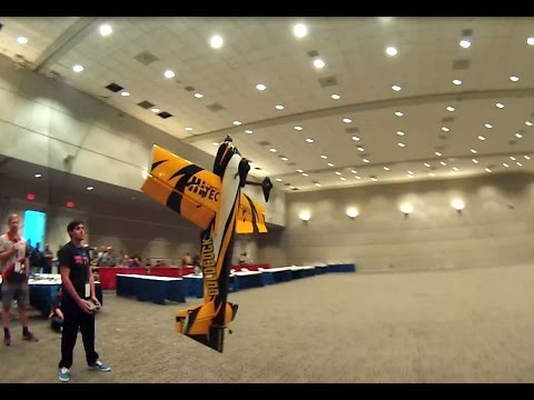 AMA Expo aerobeez Demo Flights 2016