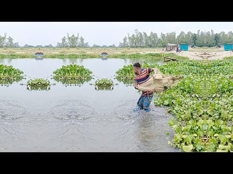 Best Cast Net Fishing Skills by Poor Fisherman - Amazing Net Fishing Video - Unique Cast Net Fishing